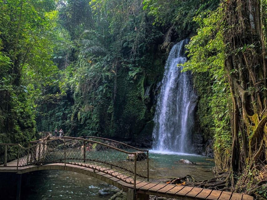 ubud-complete-full-day-tour-rice-terraces-swing-more