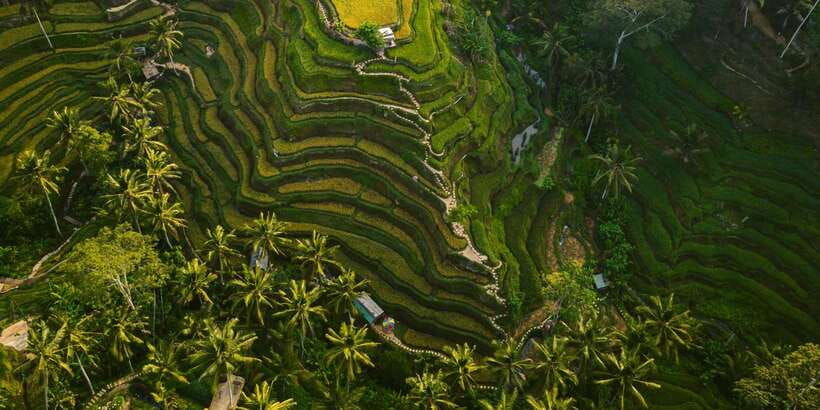 ubud-customizable-tour-with-private-driver