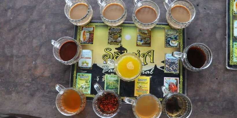 ubud-fullday-tour-with-jungle-swing