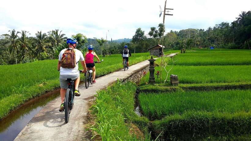 ubud-half-day-tegallalang-electric-cycling-tour