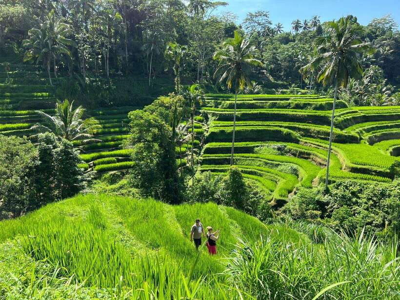 ubud-half-day-waterfall-tour-temple