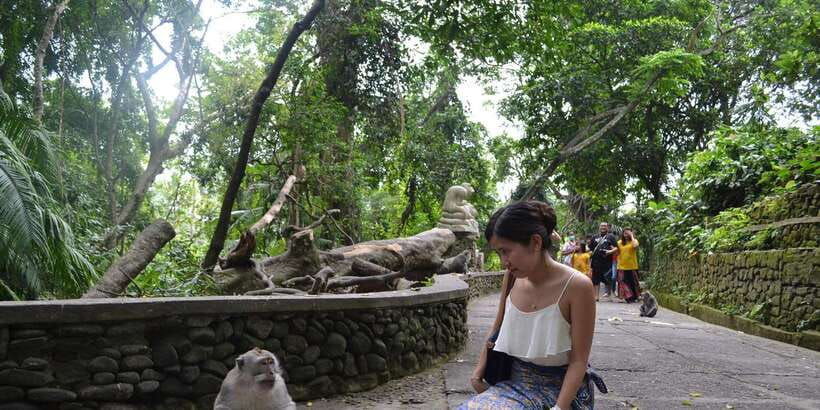 ubud-monkey-forest-waterfall-and-rice-terrace-tour