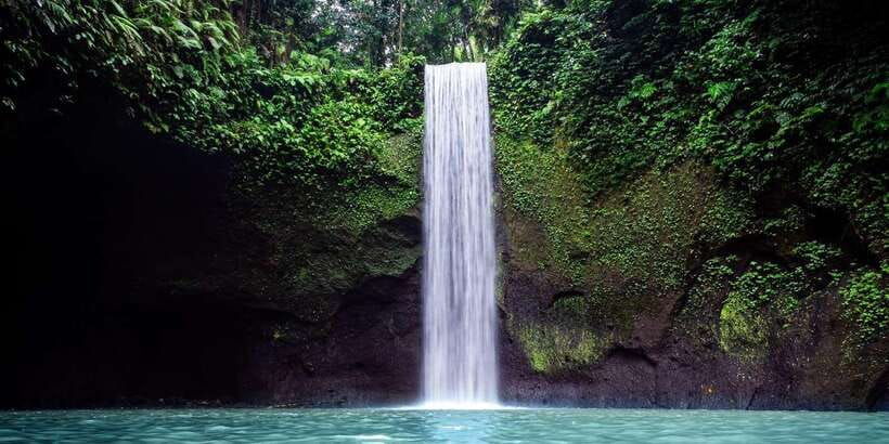 ubud-rice-terraces-water-temple-waterfalls-private-tour