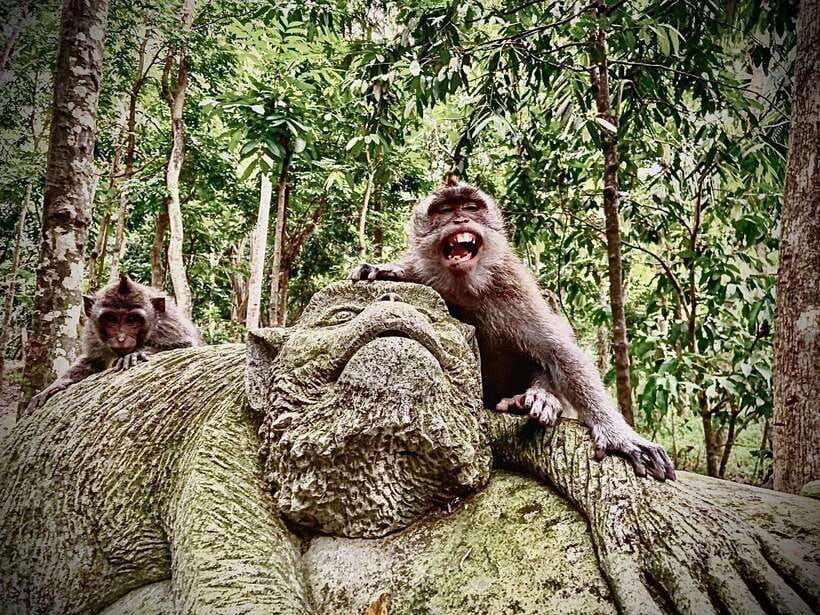 ubud-sacred-monkey-forest-barong-cave-atv-with-meal