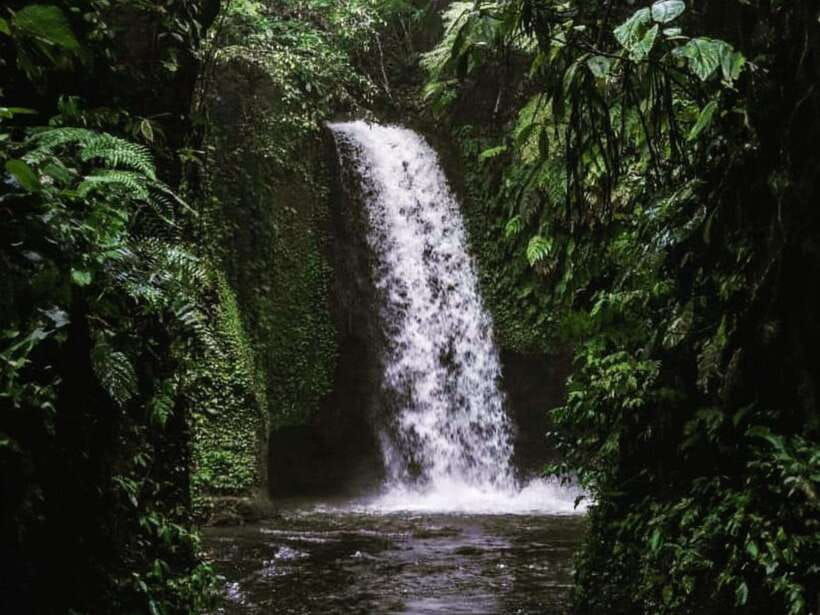 ubud-tirta-empul-temple-rice-terraces-and-waterfall-tour