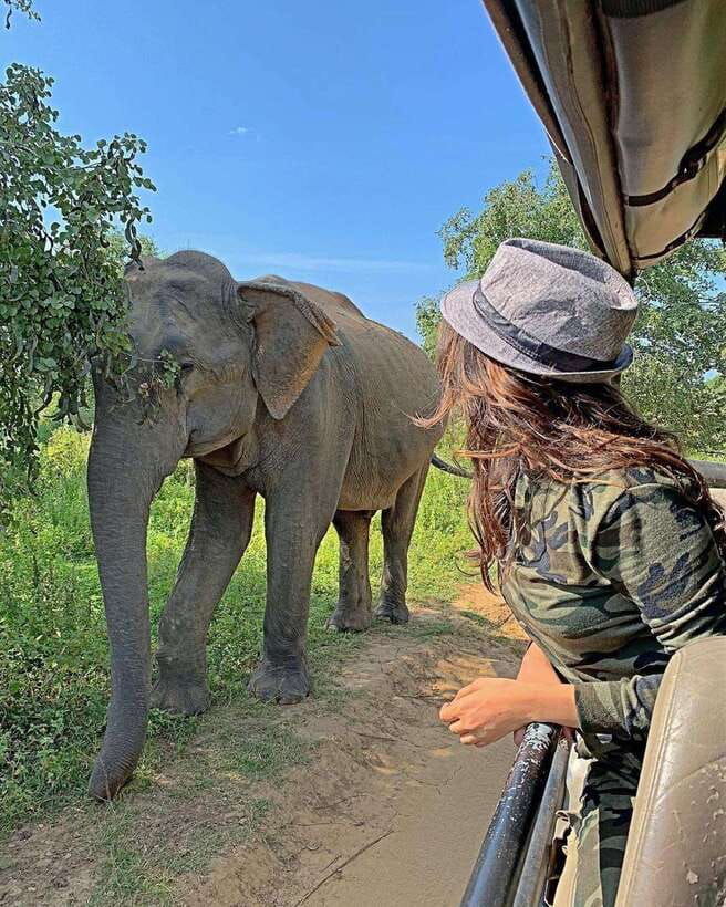 udawalawa-national-park-all-inclusive-safari-day-tour