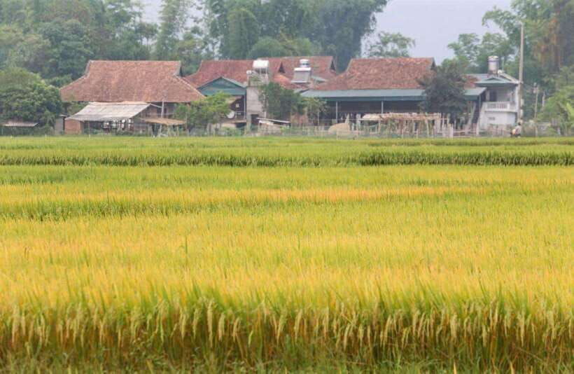 visit-all-place-in-dien-bien-phu-1-day-private-tour-by-car