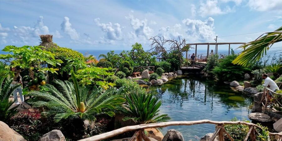 visit-to-madeira-bird-island