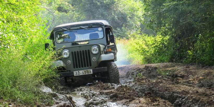wasgamuwa-national-park-safari-from-polonnaruwa