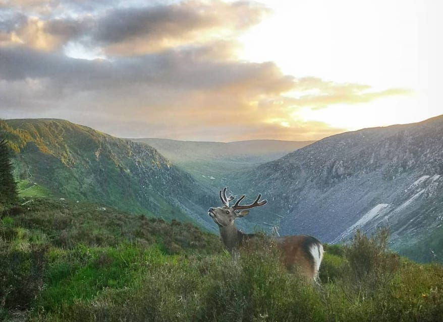 wicklow-glendalough-guided-night-hike-and-history-tour