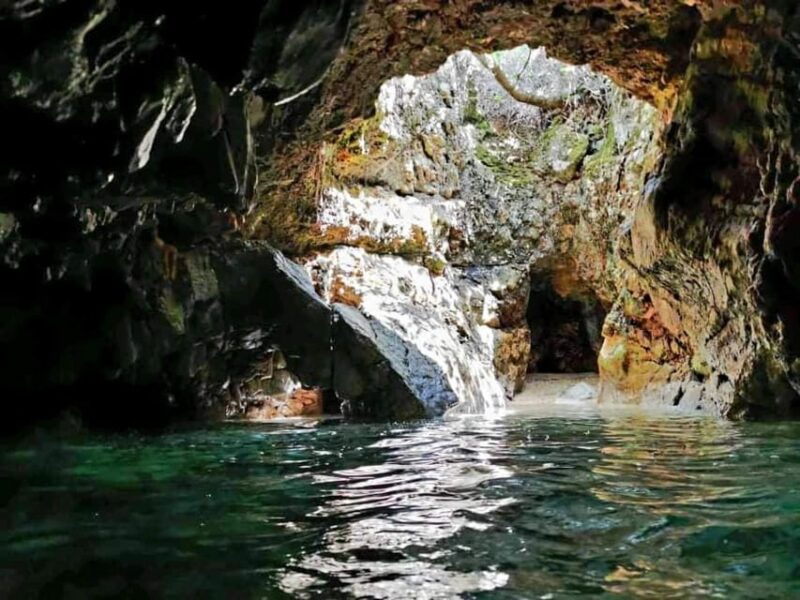 wild-bays-and-plavnik-island-a-whole-day-private-boat-tour