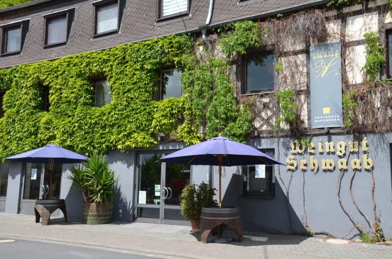 wine-tasting-wine-tasting-koblenz