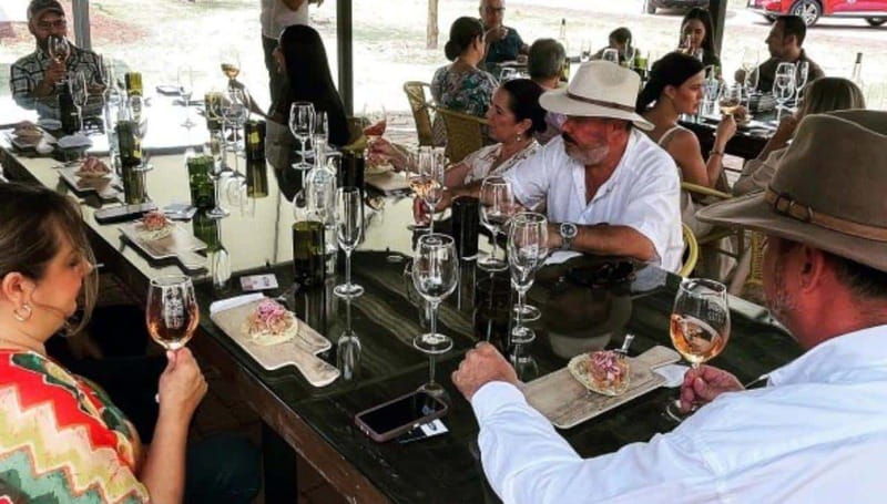 wine-tour-and-tasting-at-tierra-de-luz-winery