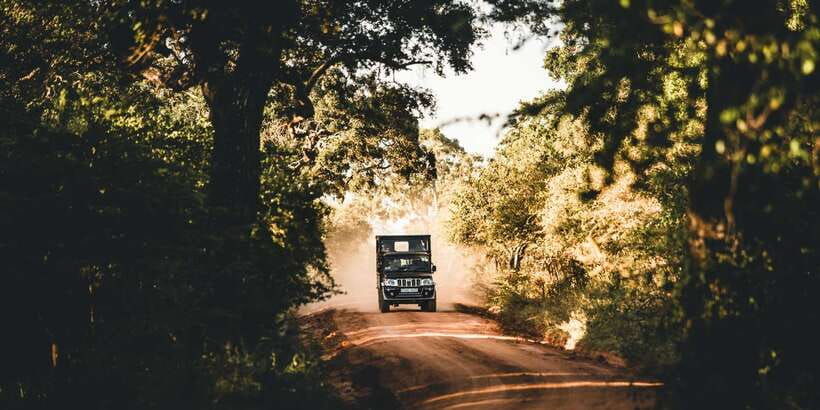 yala-national-park-morning-or-afternoon-game-drive