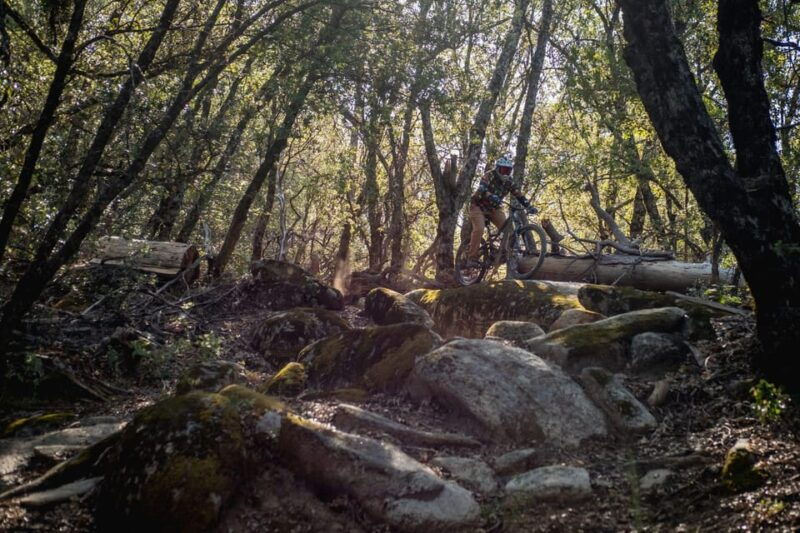 yosemite-valley-area-standard-bike-rental