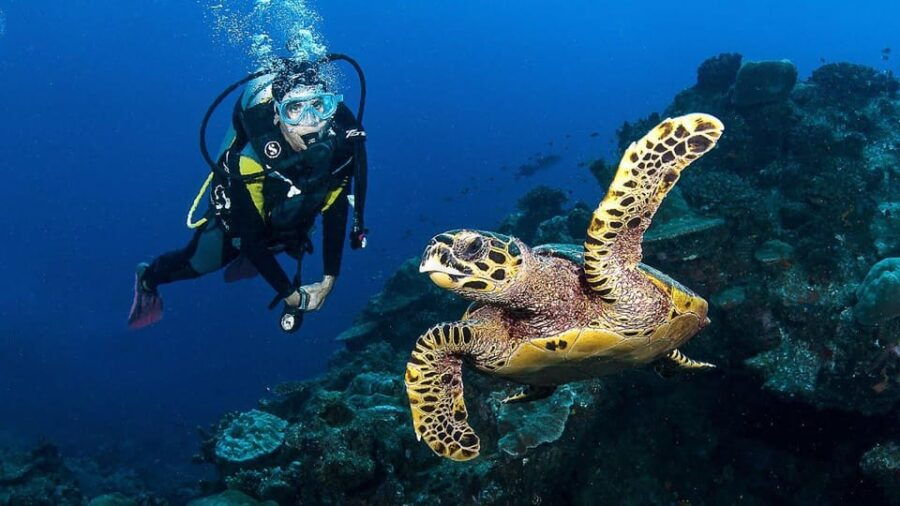 zakynthos-scuba-diving-experience-with-underwater-photos