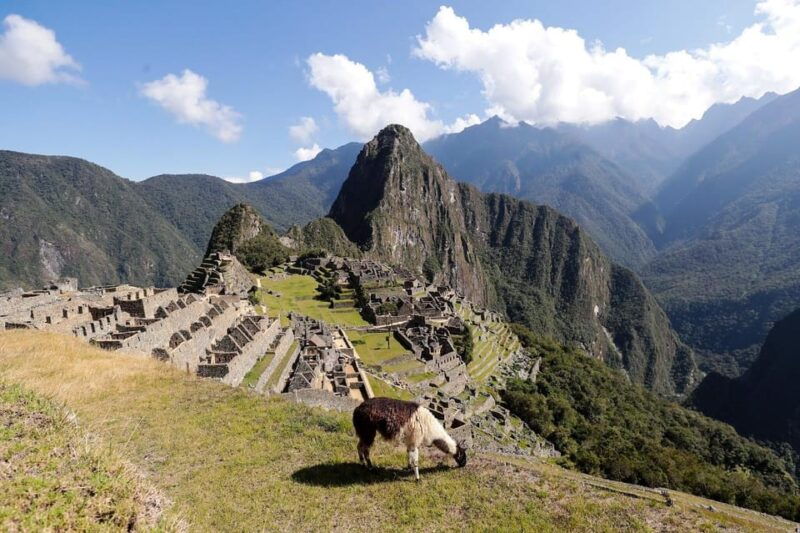 1d-private-tour-to-machu-picchu-with-expedition-train