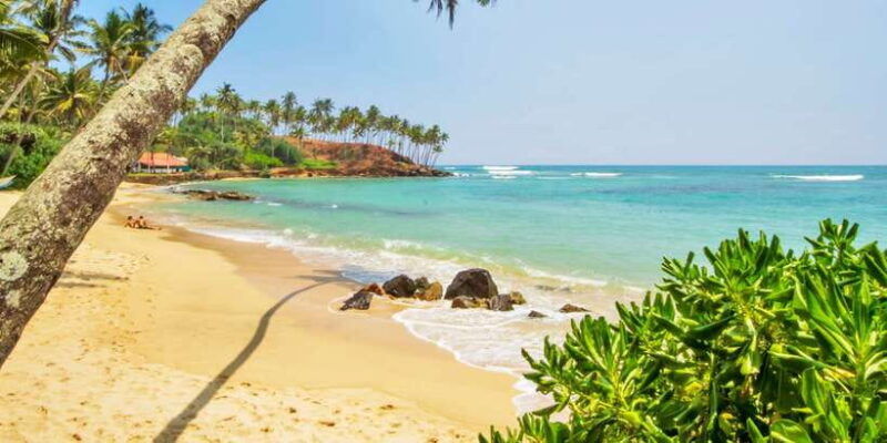 2-day-whale-watching-southern-sri-lanka-tour