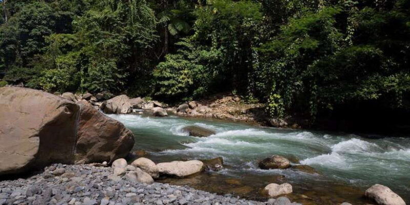 2-days-1-night-orangutan-trek-bukit-lawang