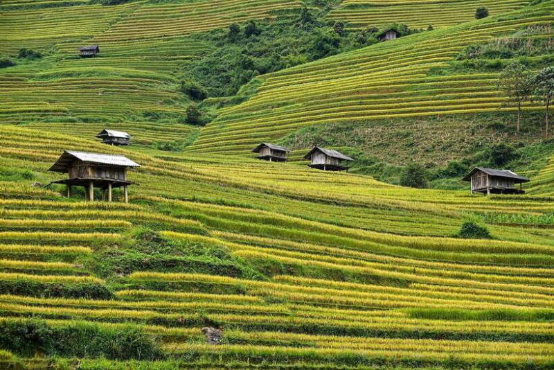 2-days-trekking-and-motorbike-tour-in-mu-cang-chai