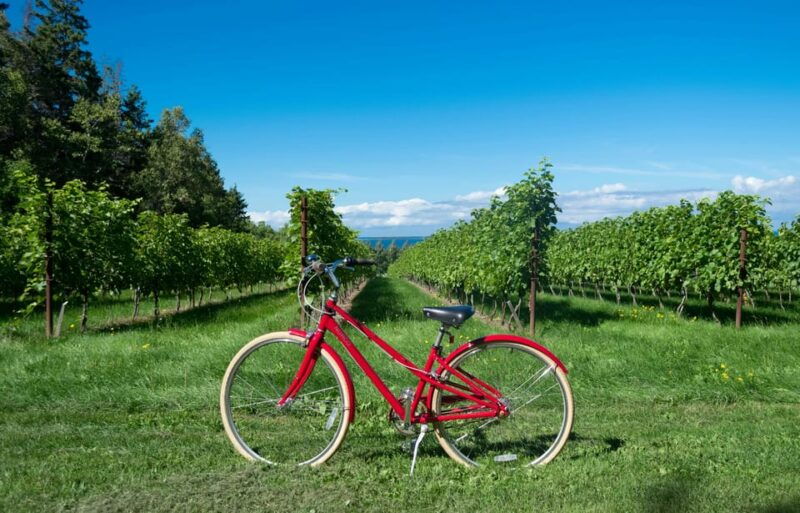 2-days-winery-tour-3-wine-tastings-local-hotel-3-meals