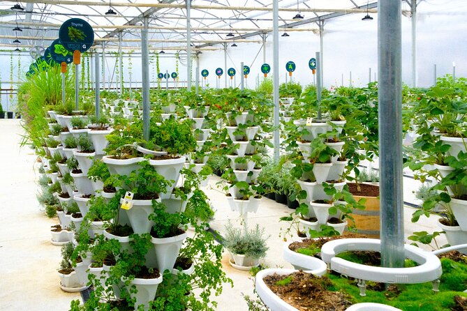 2-Hour Farm Experience in Gateway Yarra Valley - Key Points: