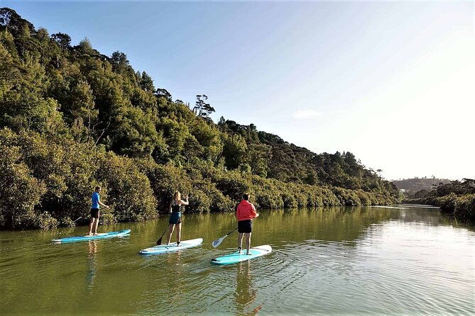 2-Hour Stand-Up Paddle Boarding Tour to Lucas Creek Waterfall - A Guided Paddleboard Journey Through Albany’s Scenic Waterways