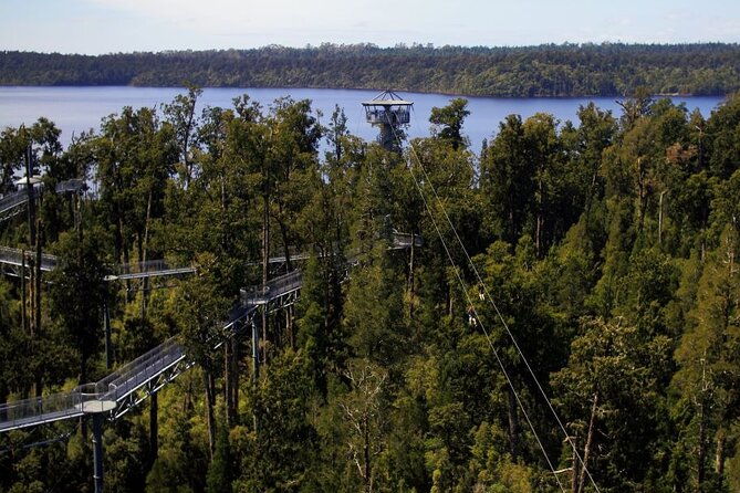 2-Hour Tower Zipline and Walkway Combo Private Guided Activity - What to Expect from the Experience