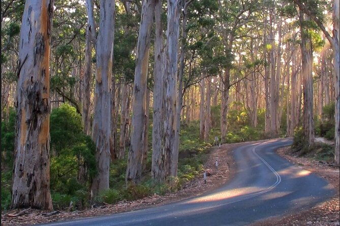 1 Day Margaret River Sightseeing Tour from Perth - The Itinerary in Detail: What Makes Each Stop Special