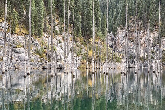 1 Day Tour Charyn Canyon, Kolsai/Kaindy lakes - Transportation and Logistics: What Does It Mean for You?