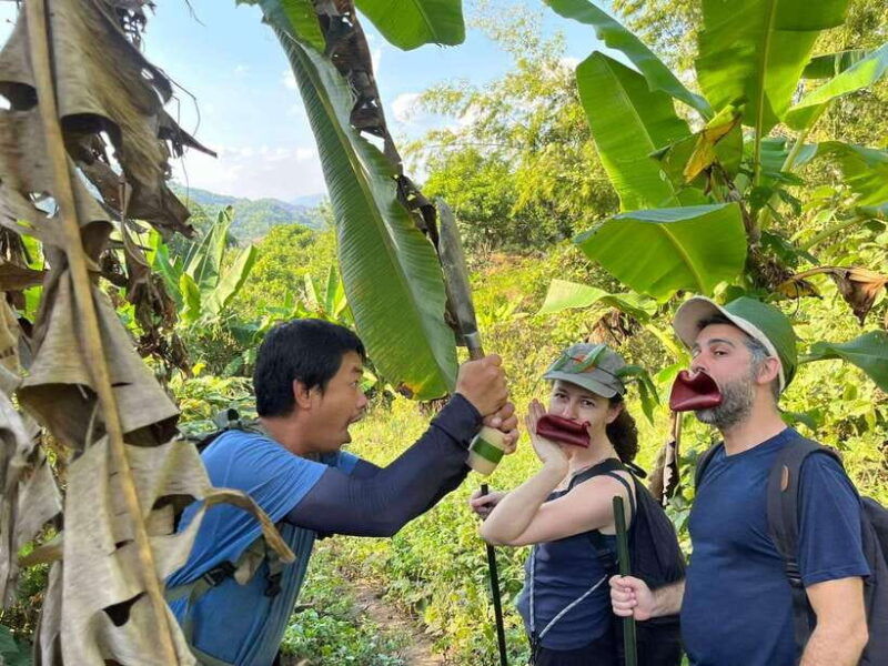 1-day-trekking-in-chiang-rai-forest-walk-only