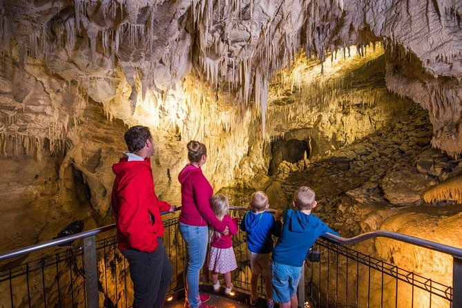 1-Hour Guided Tour of Aranui Cave Waitomo - Who Will Love This Tour?