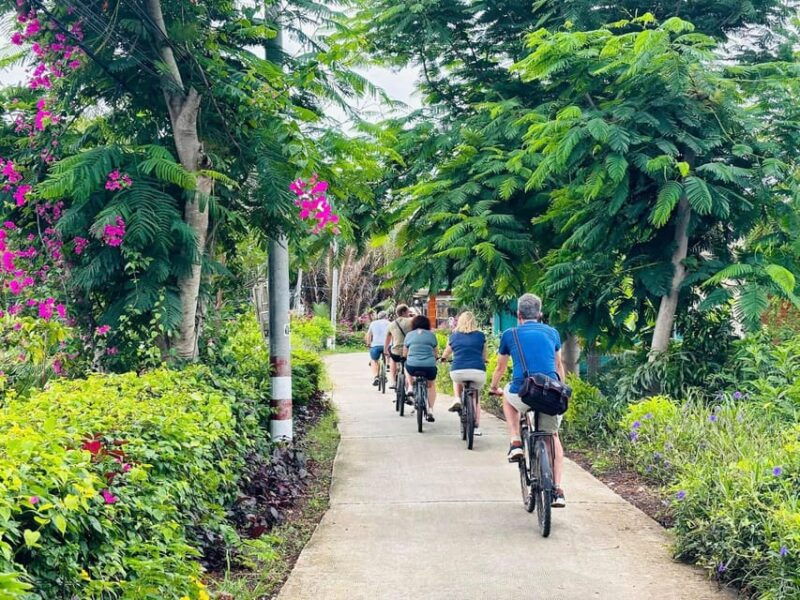 10-day-vietnam-itinerary-discover-vietnams-top-attractions