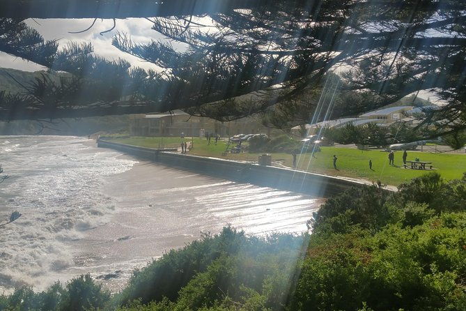 12 Apostles and Otway Fly Zipline Day Trip from Melbourne - What Makes This Tour Stand Out