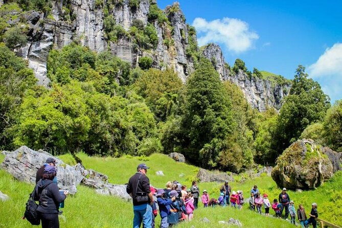 12-Hour LOTR Trollshaws & Waitomo Glowworm Tour - The Sum Up
