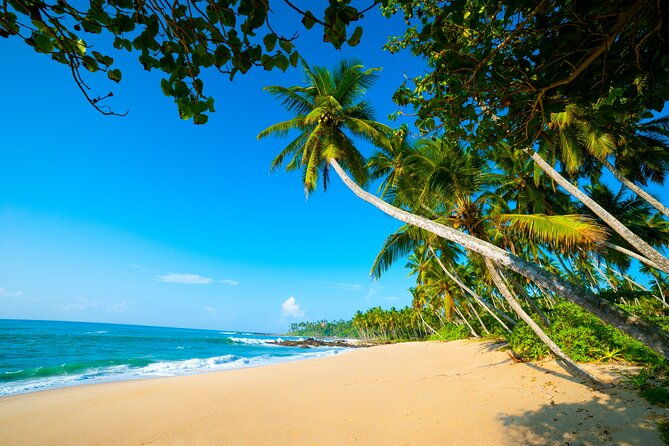 14 Days Tour in Sri Lanka - Fortnight Expedition with Luxury Hotels - Why This Tour Is a Great Choice