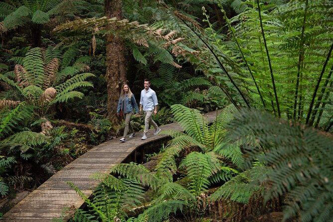 2 Day Exclusively Private Tour Of Phillip Island & The Great Ocean Road - FAQs  
