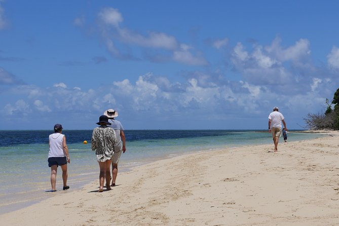 2-Day Great Barrier Reef Combo: Green Island Sailing and Outer Reef Snorkel Cruise - What’s Included and What to Consider
