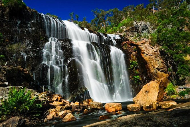 2-Day Melbourne to Adelaide Tour: Great Ocean Road and Grampians One Way Trip - Why This Tour Works