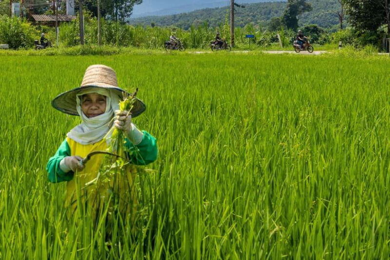 2-day-overnight-adventure-off-road-scooter-tour-amaz-views