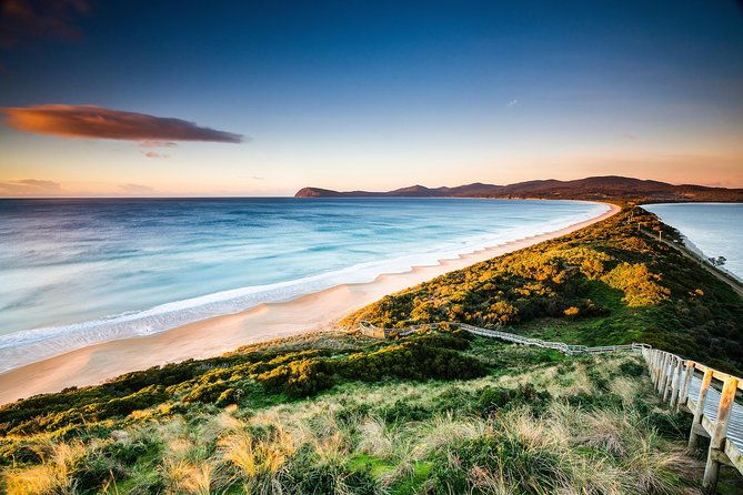 2 Day Tasmanian Highlights Tour - Bruny Island & Port Arthur - Authentic Experiences from Reviewers