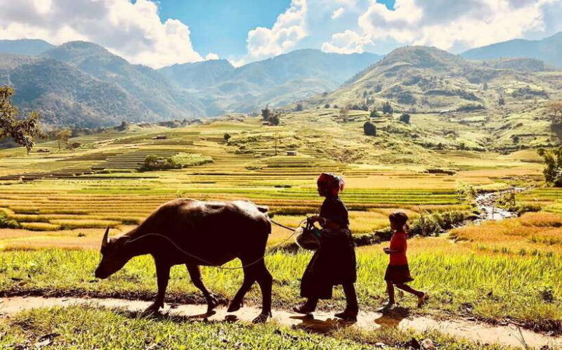 2-days-trekking-and-motorbike-tour-in-mu-cang-chai