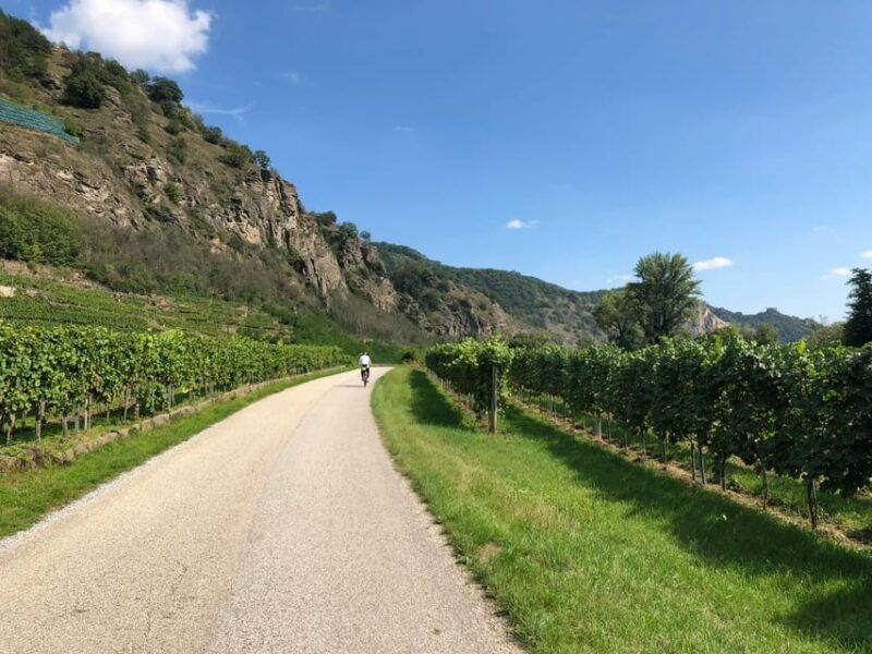2-days-winery-tour-3-wine-tastings-local-hotel-3-meals