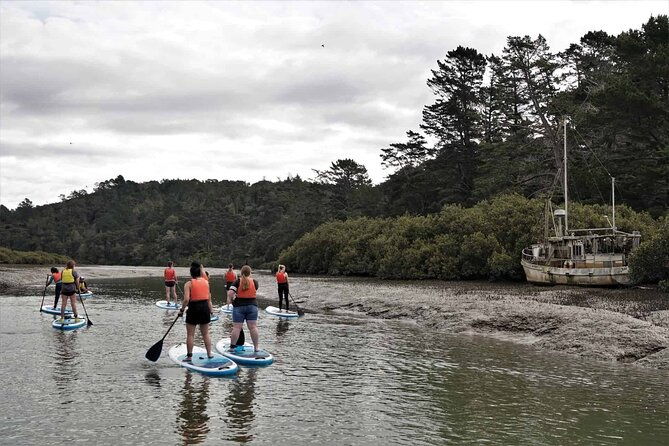 2-Hour Stand-Up Paddle Boarding Tour to Lucas Creek Waterfall - Why This Experience Works