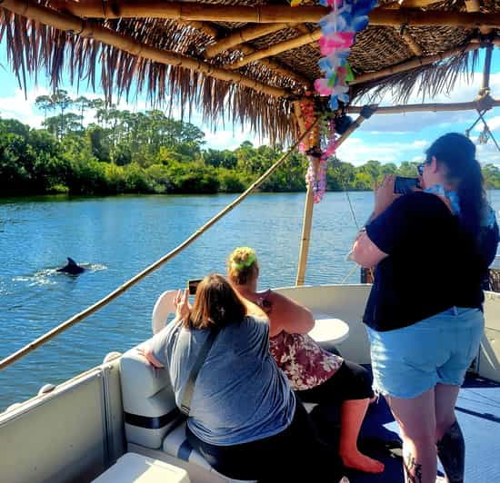 2-hour-tiki-dolphin-sightseeing-tour-in-cocoa-beach