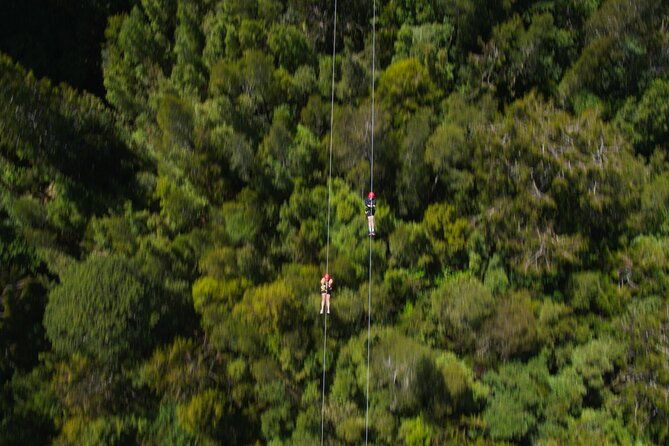 2-Hour Tower Zipline and Walkway Combo Private Guided Activity - Practical Details and Tips