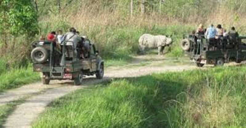 2-n-3-days-chitwan-tour-package-from-pokhara-or-kathmandu