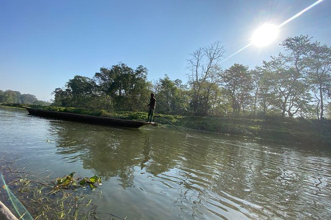 2 Nights 3 Days Chitwan Jungle Safari Tour - What Travelers Say and Why It Matters