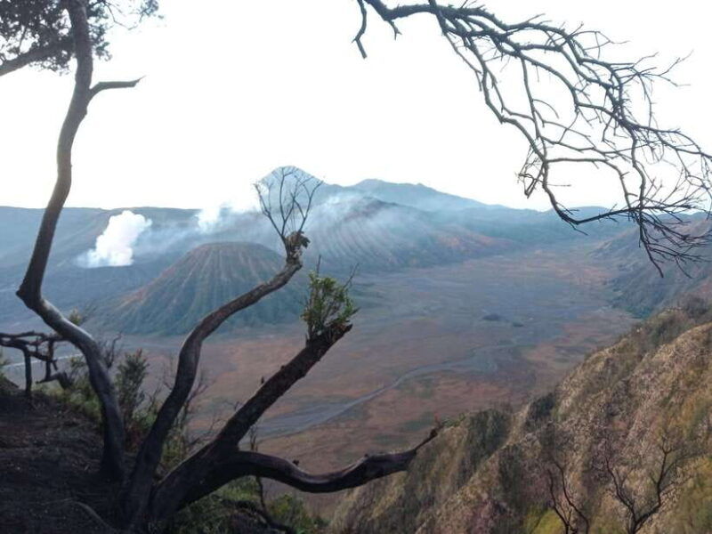 2days1nights-bromo-midnight-ijen-crater-drop-ketapang-port