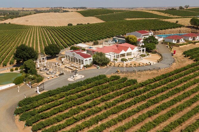 2h Wine Experience, Vineyard walk, 6 wines, charcuterie board - Detailed Breakdown of the Itinerary